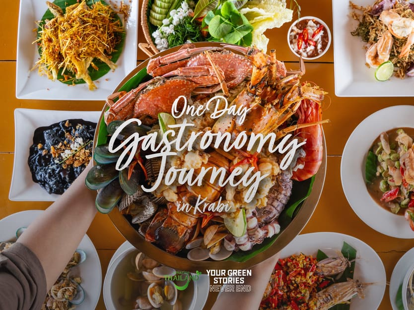 One Day Gastronomy Journey